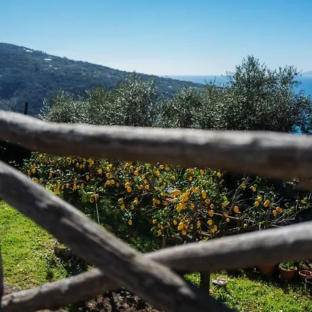 Casa Floriana * Vico Equense